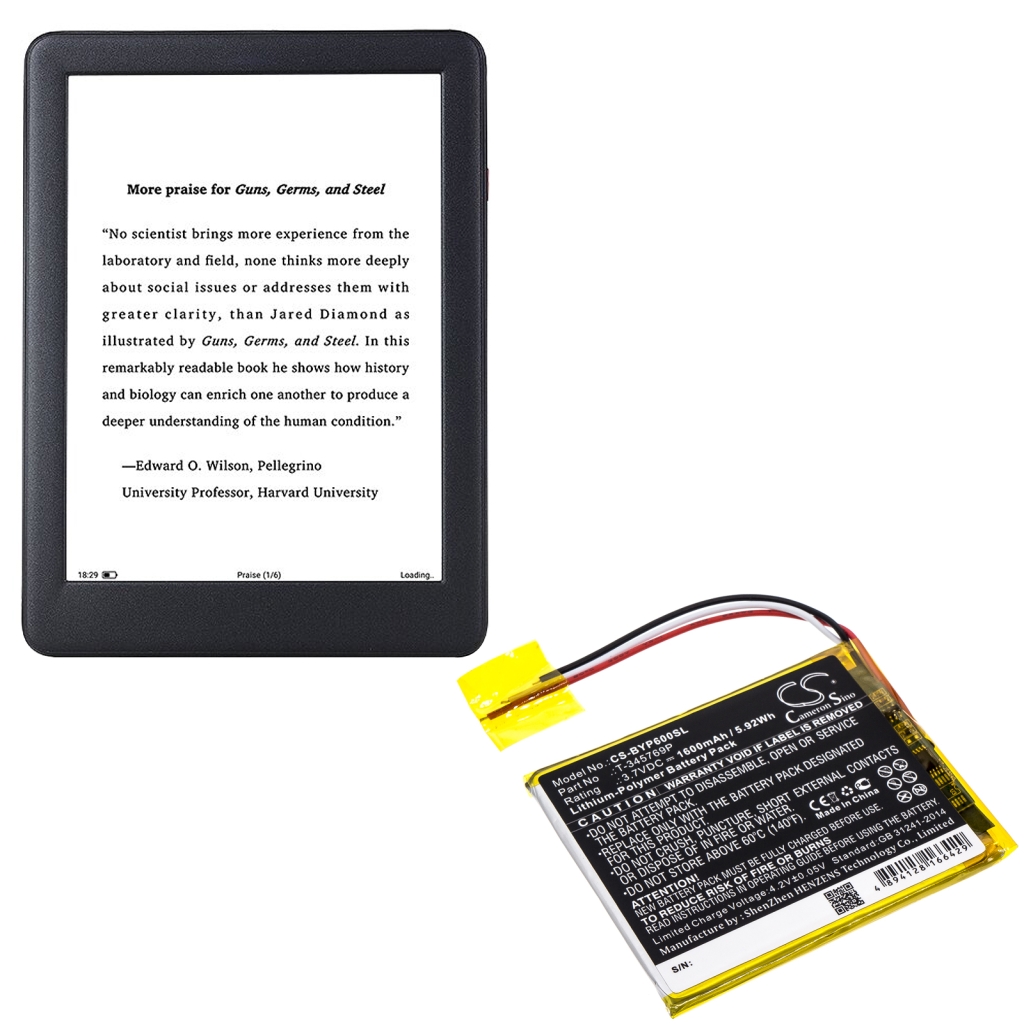 Ebook, eReader Akkus Boyue CS-BYP600SL